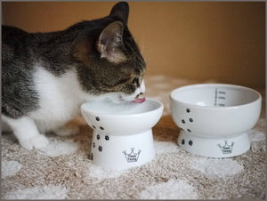 Necoichi Raised Cat Food and Water Bowl Set - 