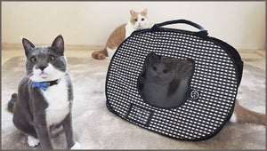 Necoichi Ultralite Pop-up Cat Carrier, 0.45 kg - 