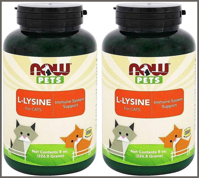 Now Pets L-Lysine for Cats Powder, 8 oz, Pack of 2 - 