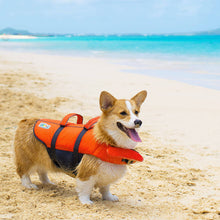 Load image into Gallery viewer, Outward Hound Dog Life Jacket by Splash- Medium - 
