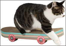 Load image into Gallery viewer, Pawnie Skateboard-Shaped Cat Scratcher and Resting Lounge Pad - 
