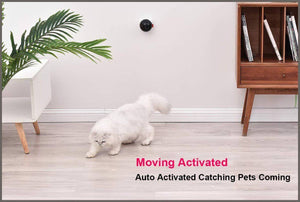 PetDroid Boltz Motion Activated Cat Laser Toy Automatic - 