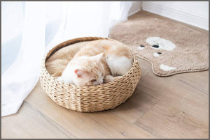 Petpals Hand Made Paper Rope Round Bed for Cat/Dog/Pet Sleep with Pillow, Natural - 