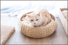 Load image into Gallery viewer, Petpals Hand Made Paper Rope Round Bed for Cat/Dog/Pet Sleep with Pillow, Natural - 
