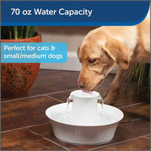 Load image into Gallery viewer, PetSafe Drinkwell Avalon Pet Water Fountain, Ceramic Drinking Fountain for Cats and Dogs - 
