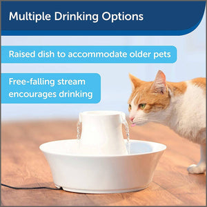 PetSafe Drinkwell Avalon Pet Water Fountain, Ceramic Drinking Fountain for Cats and Dogs - 