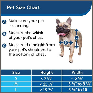 PetSafe Extreme Weather Energy Efficient Pet Door for Cats and Dogs - 