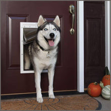 Load image into Gallery viewer, PetSafe Extreme Weather Energy Efficient Pet Door for Cats and Dogs - 
