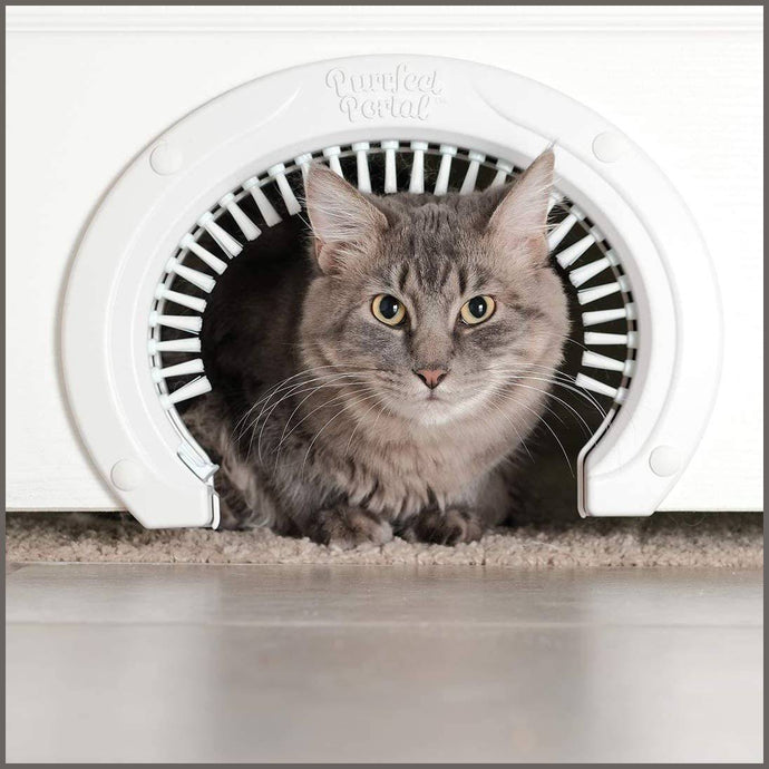 Cat door the original 2025 cathole interior pet door