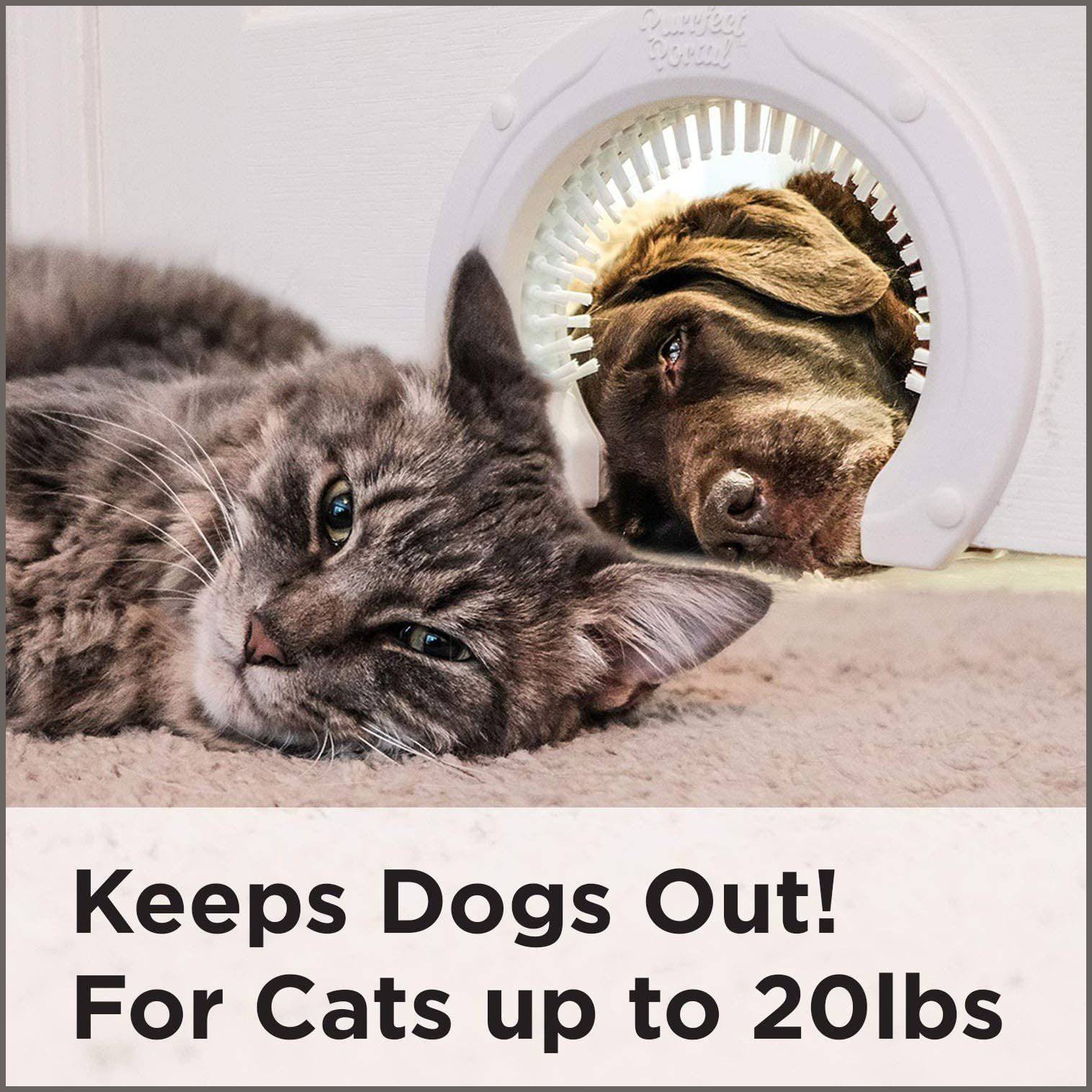 Purrfect portal best sale cat door