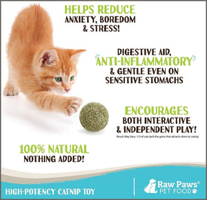 Raw Paws Compressed Catnip Ball Toy - 