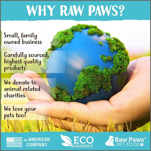 Raw Paws Compressed Catnip Ball Toy - 