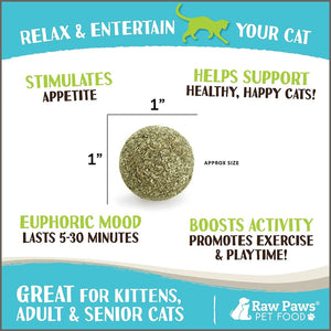 Raw Paws Compressed Catnip Ball Toy - 