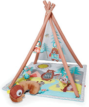 Load image into Gallery viewer, Skip Hop Camping Cub Activity Baby Gym, Multi - 
