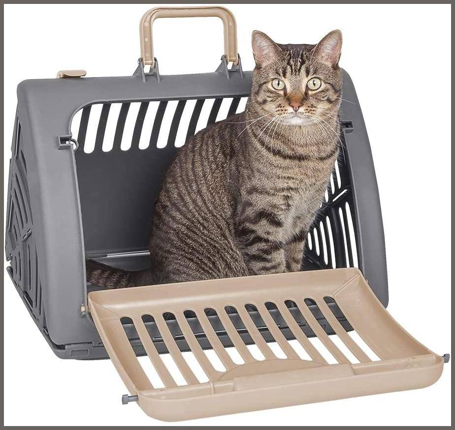 Cat carrier outlet front