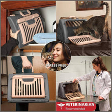 Load image into Gallery viewer, SportPet Designs Foldable Travel Cat Carrier - Front Door Plastic Collapsible Carrier - 
