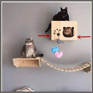 Tardo Cat Wall Shelf Set Cat Hammock Cat Perch Wooden Bed - 