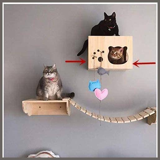 Tardo Cat Wall Shelf Set Cat Hammock Cat Perch Wooden Bed - 