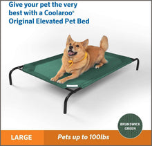 Load image into Gallery viewer, The Original Elevated Pet Bed by Coolaroo, Large, Brunswick Green - 
