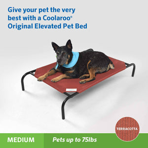 The Original Elevated Pet Bed by Coolaroo, Medium, Terracotta - 