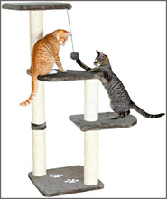 Load image into Gallery viewer, TRIXIE 43882 Altea Scratching Post with Paw Prints, Gray, Large (16 x 16 x 46 in.) - 
