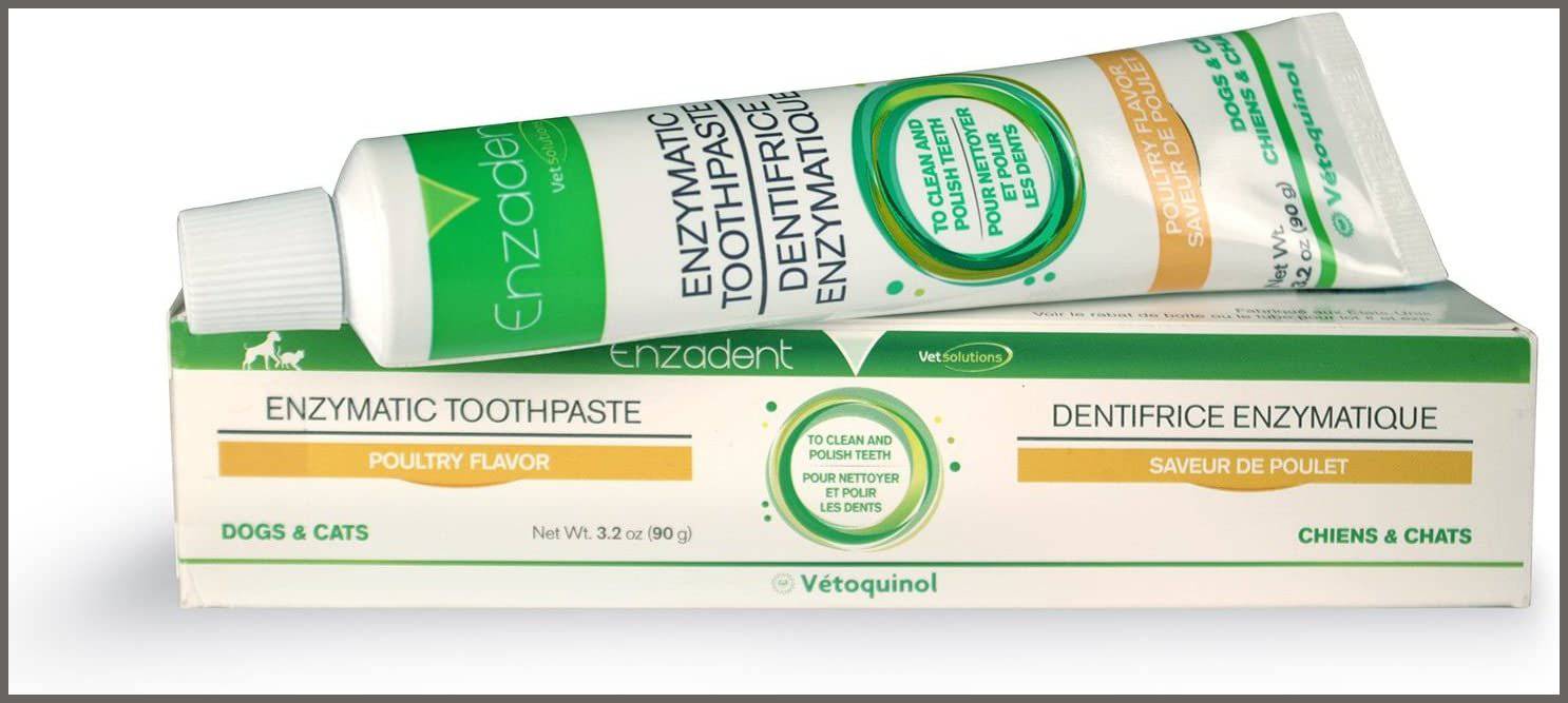 Enzadent pet deals toothpaste