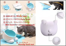 Load image into Gallery viewer, ViviPet Q Bowls and Big Head Water Bowl and Mini Bowl for Cat and Dog - 
