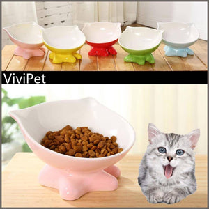 ViviPet Q Bowls and Big Head Water Bowl and Mini Bowl for Cat and Dog - 