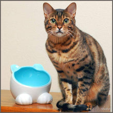 Load image into Gallery viewer, ViviPet Q Bowls and Big Head Water Bowl and Mini Bowl for Cat and Dog - 
