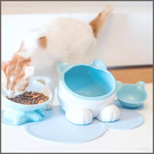 Load image into Gallery viewer, ViviPet Q Bowls and Big Head Water Bowl and Mini Bowl for Cat and Dog - 
