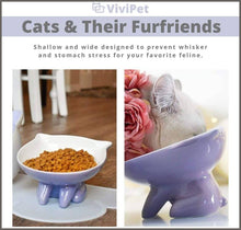 Load image into Gallery viewer, ViviPet Q Bowls and Big Head Water Bowl for Cat and Dog - 
