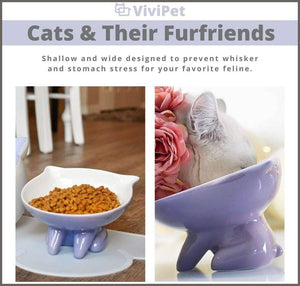 ViviPet Q Bowls and Big Head Water Bowl for Cat and Dog - 