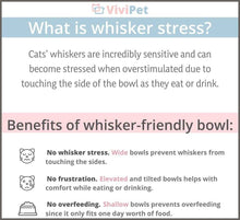 Load image into Gallery viewer, ViviPet Q Bowls and Big Head Water Bowl for Cat and Dog - 
