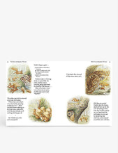 Load image into Gallery viewer, The Bookshop Beatrix Potter: The Complete Tales Book Set - 
